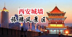 色屄中国陕西-西安城墙旅游风景区